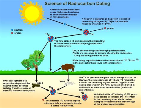 carbon dating correction